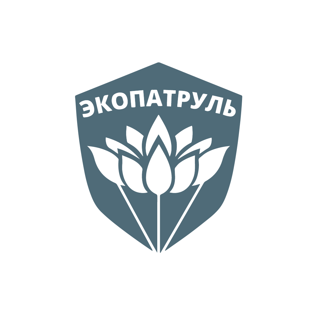 Экомета — визуальный образ проекта